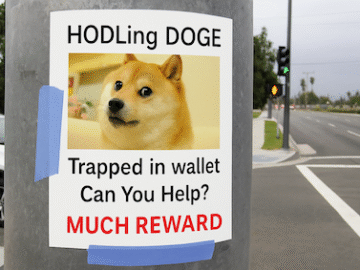 Dogecoin for $20 HODLawards submission